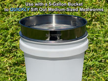 Load image into Gallery viewer, D-11 LIGHTNING SIFTER™ Medium Mealworm Sifting Pan (1st Gen)
