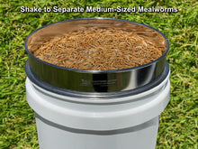 Load image into Gallery viewer, D-11 LIGHTNING SIFTER™ Five Sifting Pan Set (1st Gen)
