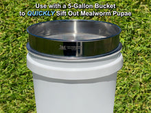 Load image into Gallery viewer, D-11 LIGHTNING SIFTER™ Mealworm Pupae Sifting Pan (1st Gen)
