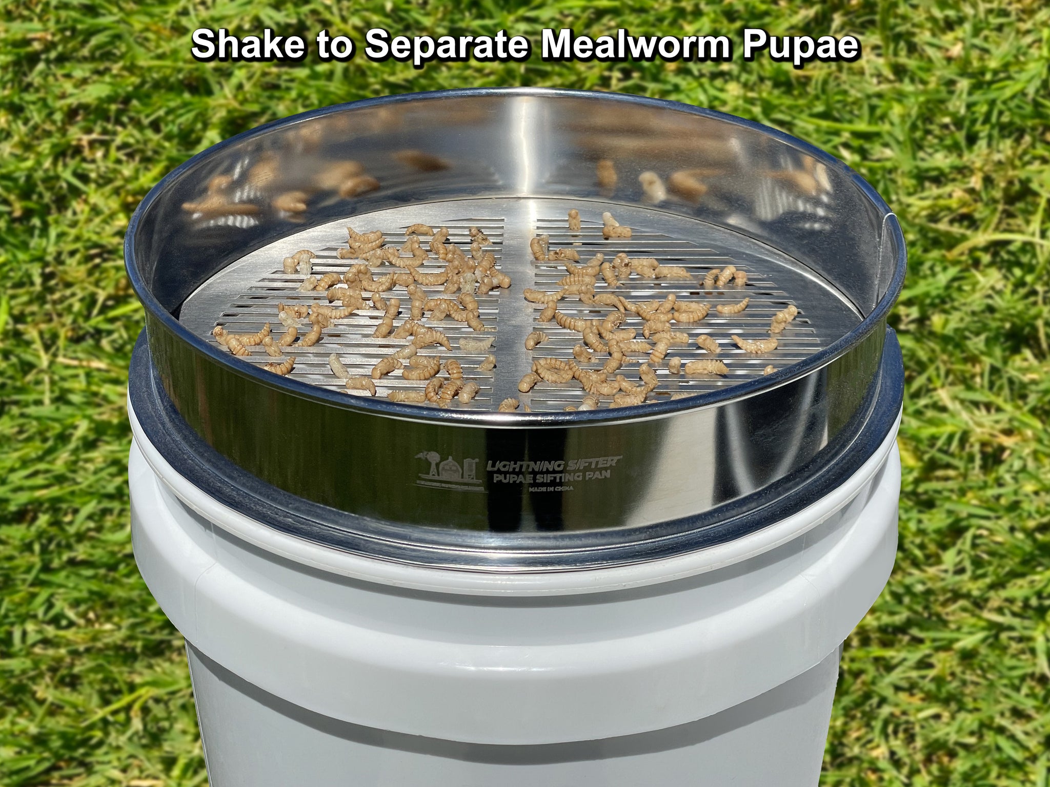 D-11 LIGHTNING SIFTER™ Mealworm Pupae Sifting Pan (1st Gen) – Mealworm ...
