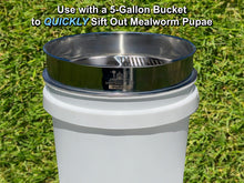 Load image into Gallery viewer, D-11 LIGHTNING SIFTER™ Mealworm Pupae Sifting Pan (2nd Gen)
