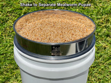 Load image into Gallery viewer, D-11 LIGHTNING SIFTER™ Mealworm Pupae Sifting Pan (2nd Gen)
