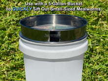 Load image into Gallery viewer, D-11 LIGHTNING SIFTER™ Small Mealworm Sifting Pan (1st Gen)
