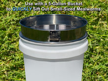 Load image into Gallery viewer, D-11 LIGHTNING SIFTER™ Small Mealworm Sifting Pan (2nd Gen)
