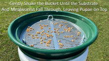 Load image into Gallery viewer, D-11 LIGHTNING SIFTER™ Mealworm Pupae Sifting Plate (1st Gen) (Patent Pending)
