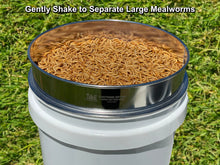 Load image into Gallery viewer, MFS&#39; LIGHTNING SIFTER Large Sifting Pan with Large Mealworms Separated
