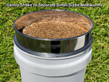 Load image into Gallery viewer, MFS&#39; LIGHTNING SIFTER Small Sifting Pan with Small-Sized Mealworms Separated
