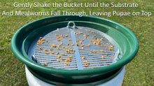 Load image into Gallery viewer, Mealworm Pupae Separation Using Mealworm Farming Solutions Patent-Pending Round Sifter
